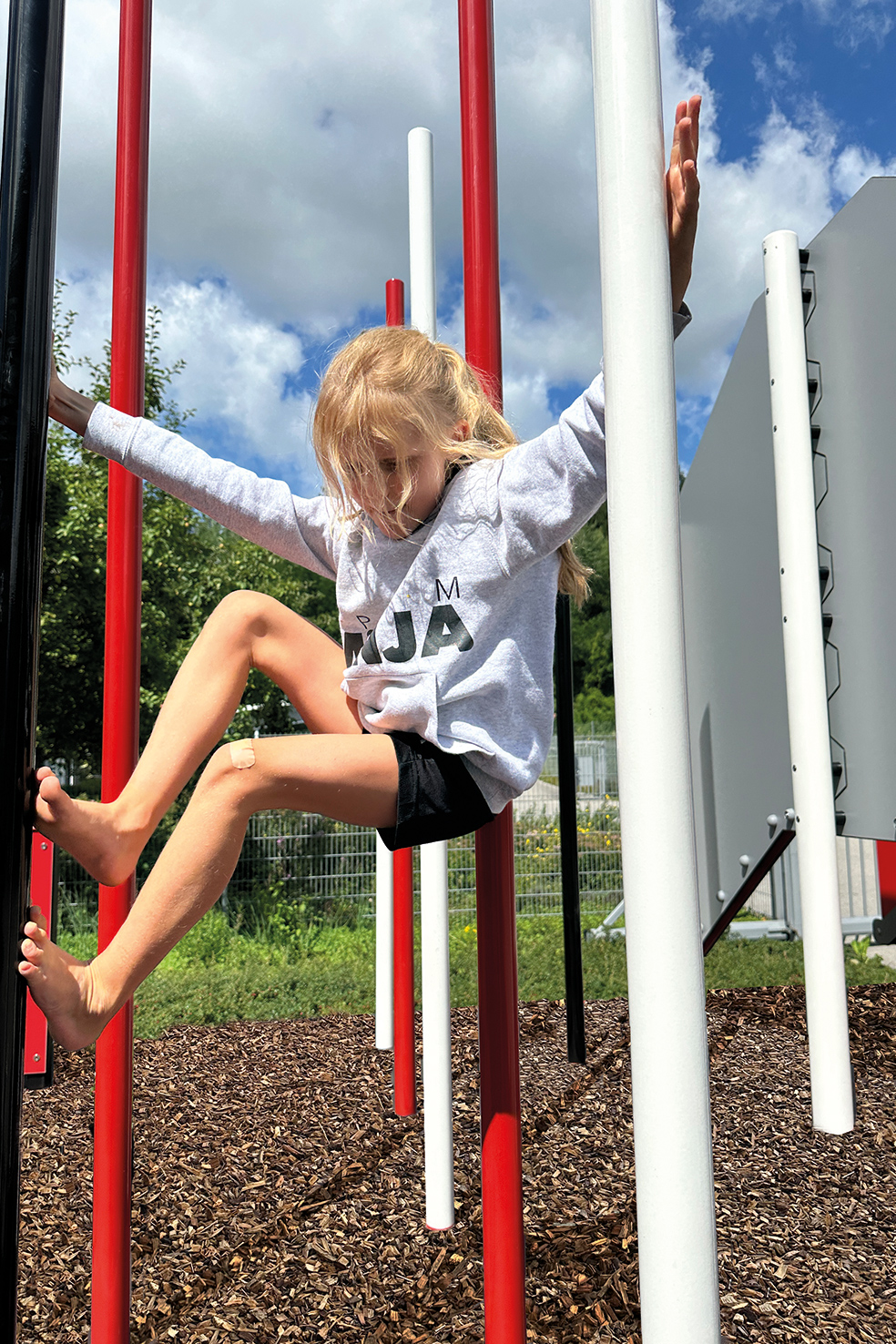 Bild 5 - EM-L12-23035-G1-V10